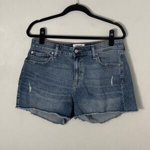 Denizen From Levi's High Rise Distressed Cut Off Denim Shorts Size 12/31